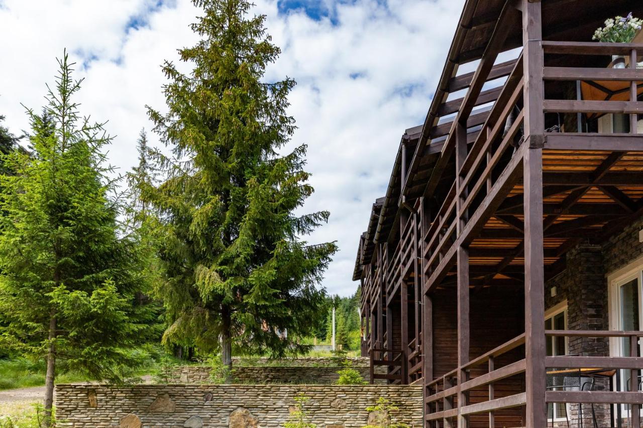 Парк-Готель Щастя Skhidnytsia ภายนอก รูปภาพ