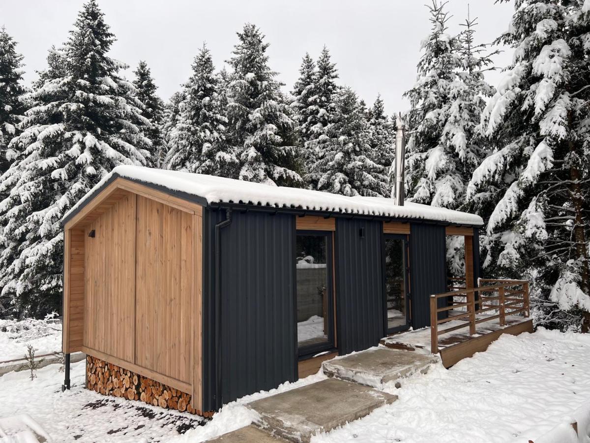 Парк-Готель Щастя Skhidnytsia ภายนอก รูปภาพ