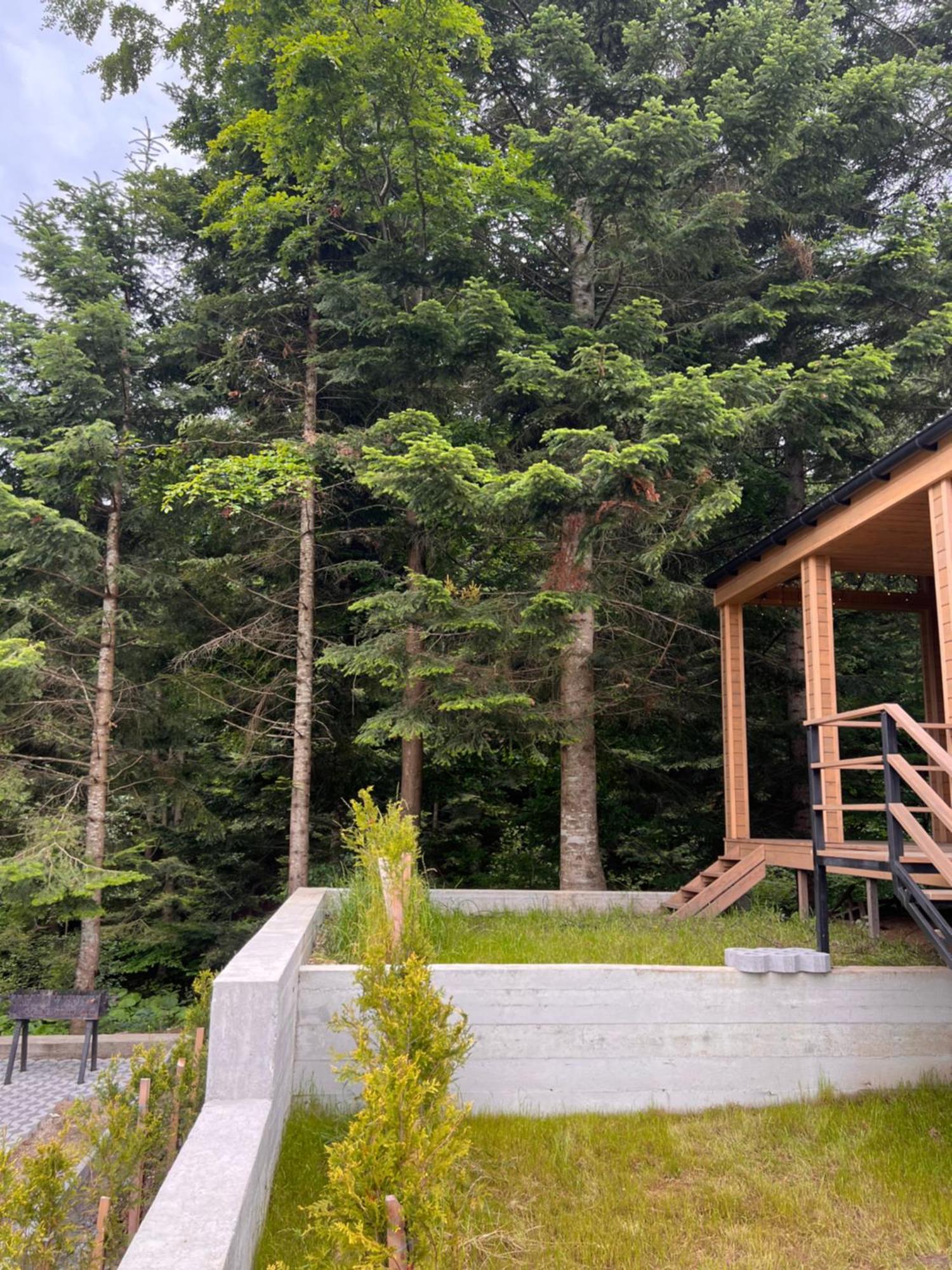Парк-Готель Щастя Skhidnytsia ภายนอก รูปภาพ